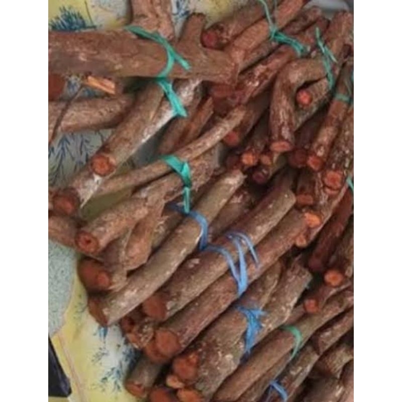 

Akar pohon mahoni akar mahoni segar fresh 1 kg