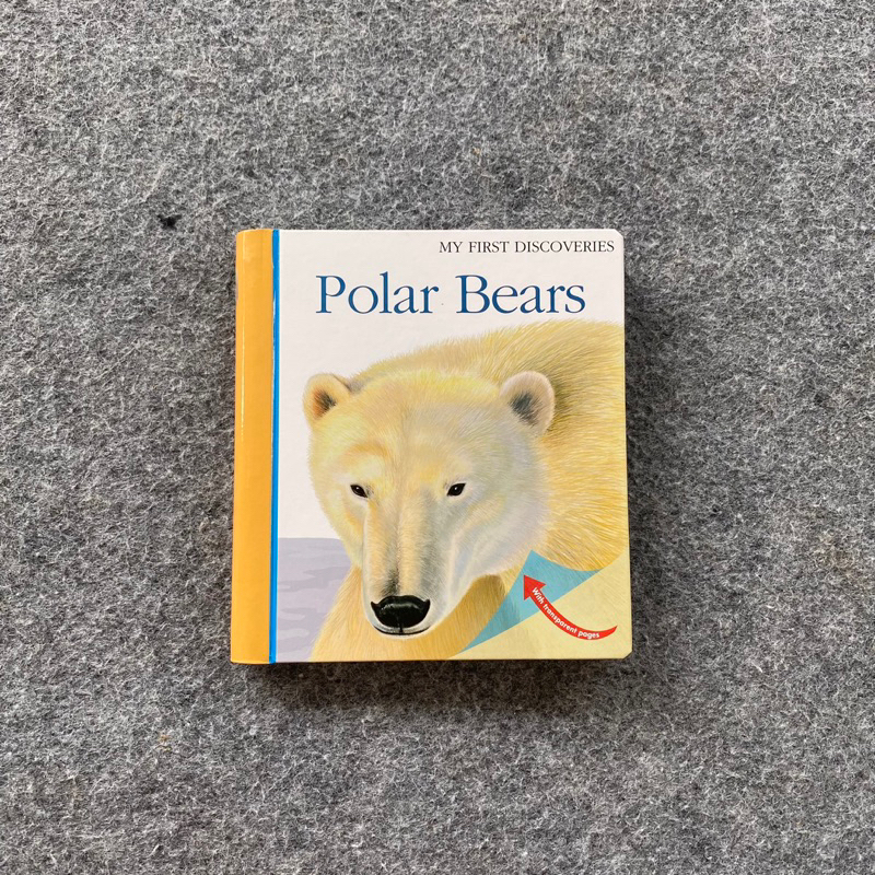 My First Discoveries Polar Bears