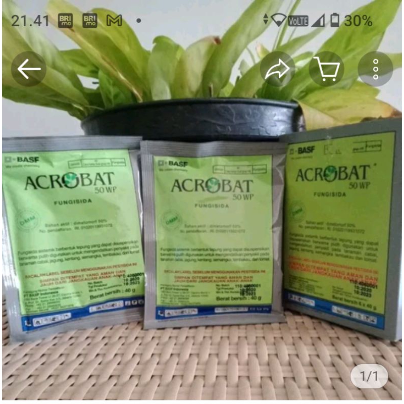 acrobat 40 fungisida