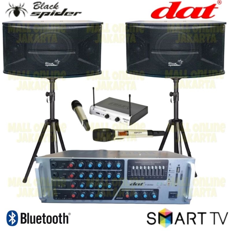 Paket karaoke dat 10 inch blackspider sound system indoor rumah