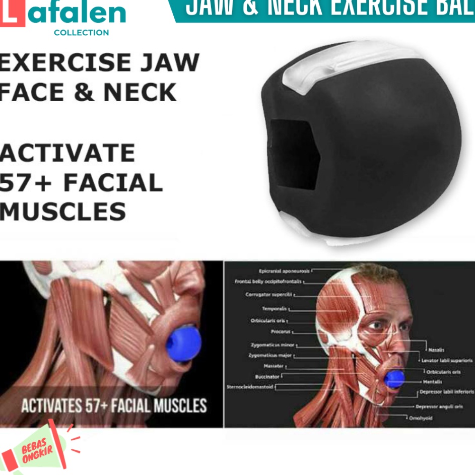 Serbu Hadiah  Latihan Rahang  Alat Olahraga Rahang Wajah Simetris  Jaw Exercise Silicone Training Ba