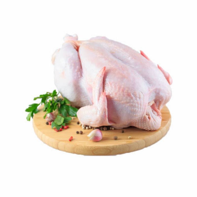 

Ayam Karkas Broiler Ayam Potong Utuh 500gr-1kg