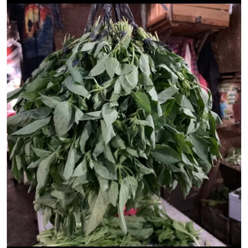 

Kemangi segar 150 gr