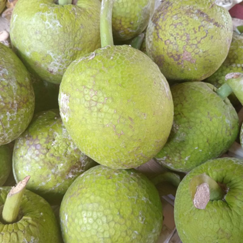 

- Buah sukun - Pasar pagi instant pekanbaru