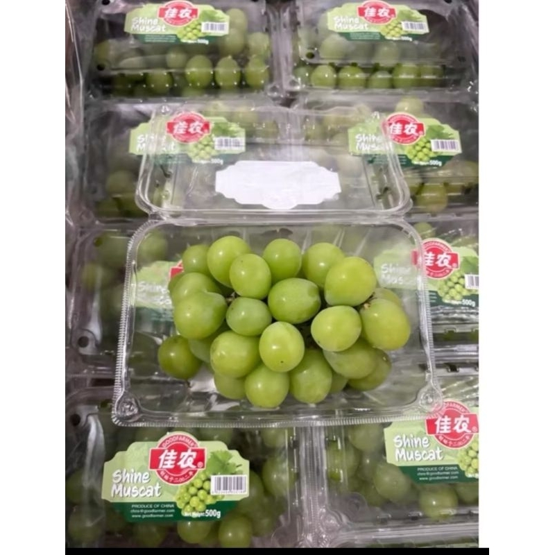 Anggur Muscat Hijau promo 500 gram per box