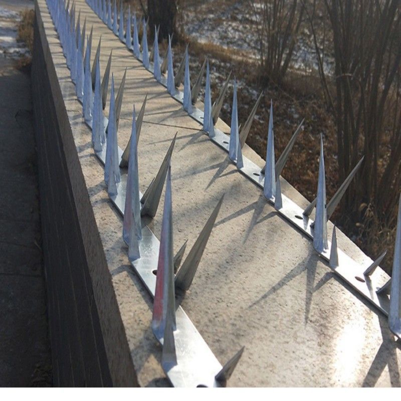 ShP3 1.25m Wall Spike Anti Maling Wall Spike 2mm Duri Tembok Anti Maling Wall Spike Untuk Anti
