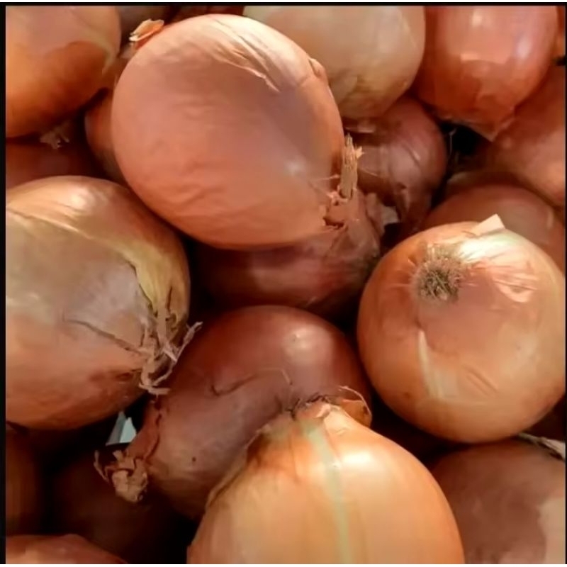 

Bawang Bombay 1kg fresh