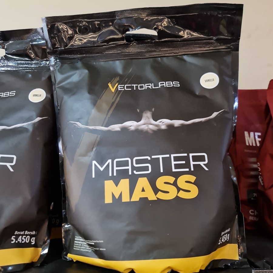Vector labs master mass 12lbs mass gainer bulking  - dark chocolate