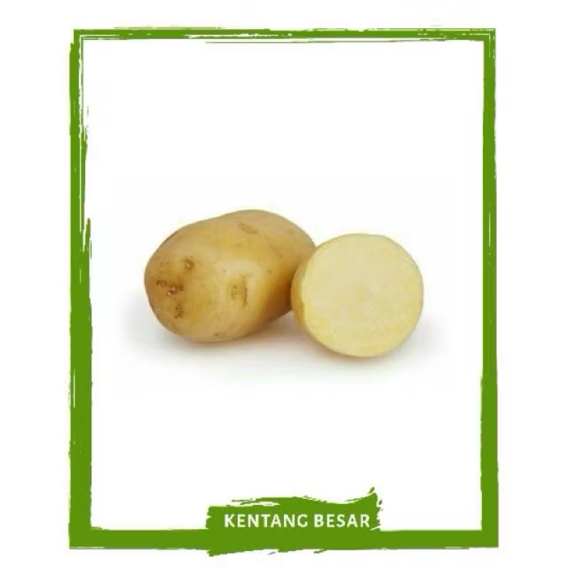 

Kentang Ukuran Besar / Sayur Segar By Sayur Mallah