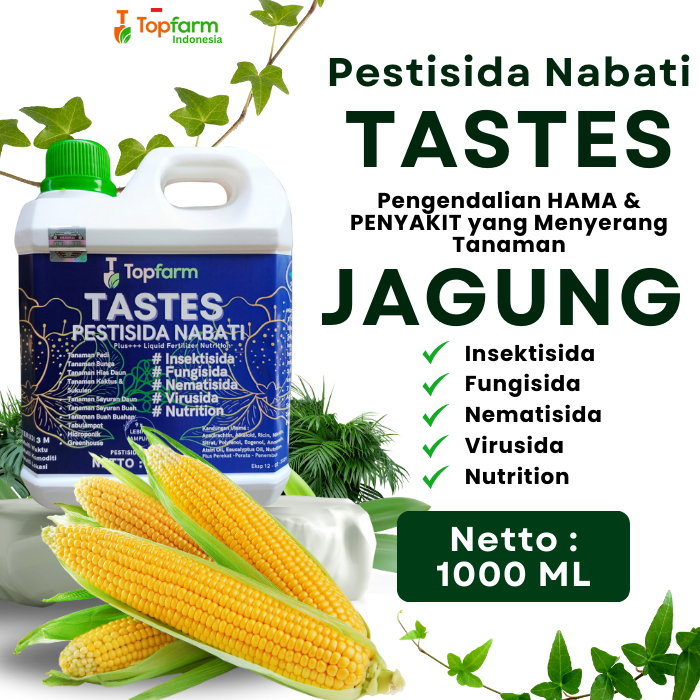 Obat Ulat Jagung Ter Ampuh / Obat Ulat Jagung Topfarm / Obat Ulat Jagung Terbaik / Obat Pertanian Un