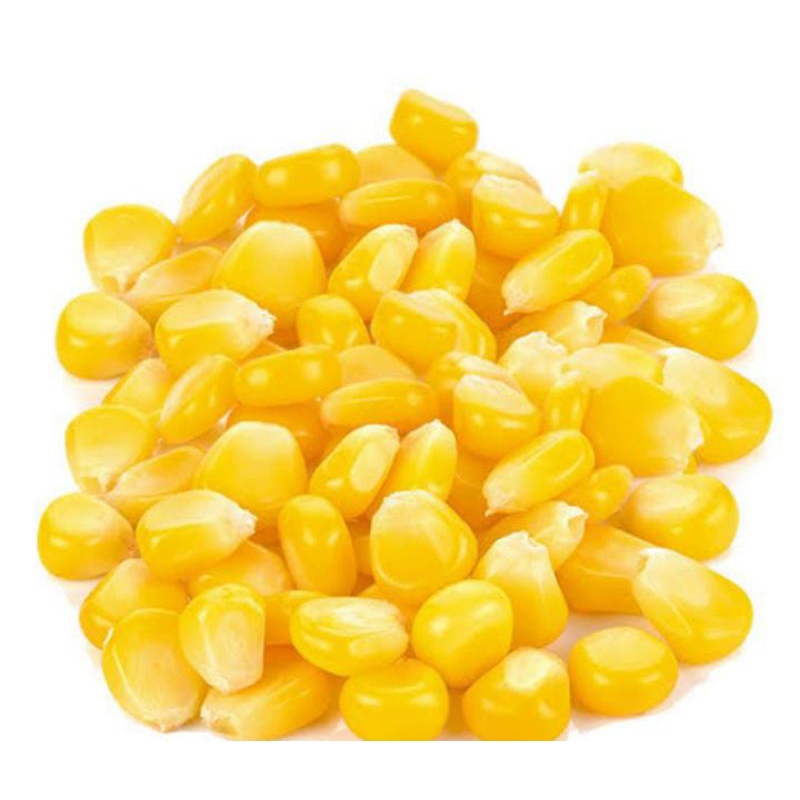 

jagungpipil