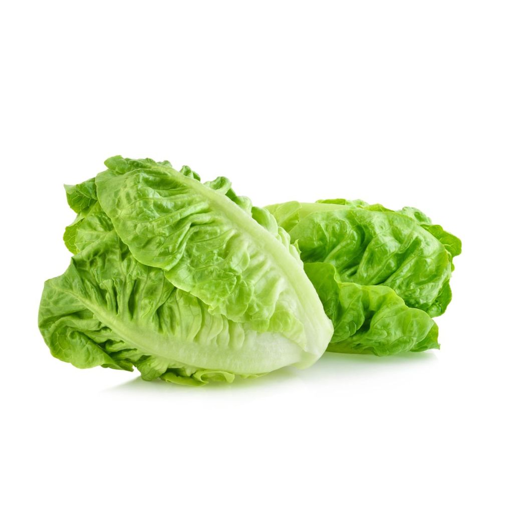 

Selada Romaine 1 Kg - Fresh