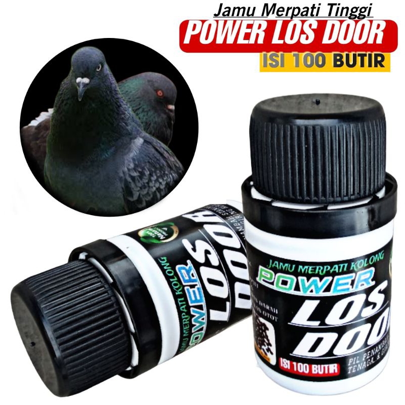 POWER LOS DOOR JAMU MERPATI KOLONG 100 PIL extra power doping merpati setut dor giring keket keras