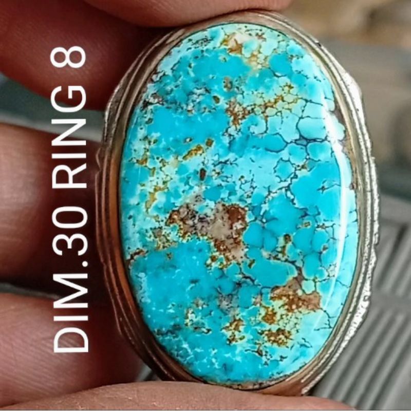 PIRUS PERSIA LAWASAN LAWAS ASLI NATURAL