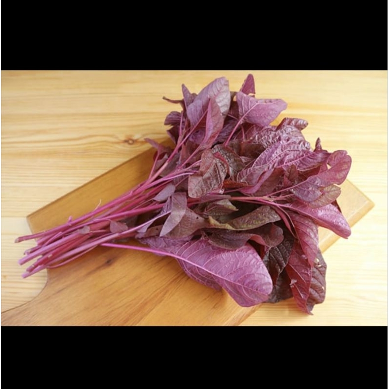 

Bayam Merah