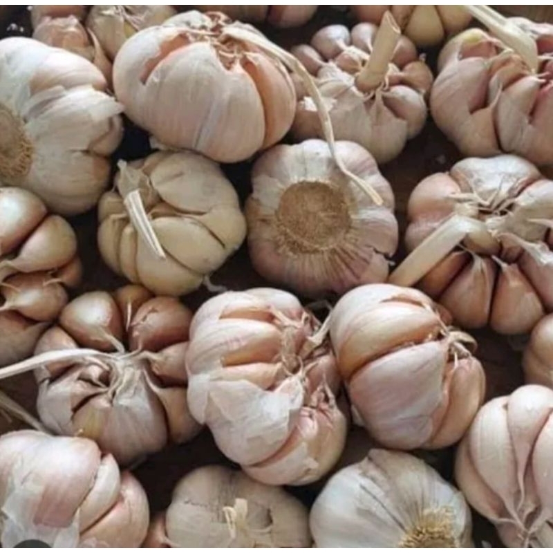 

BAWANG PUTIH 250 GRAM