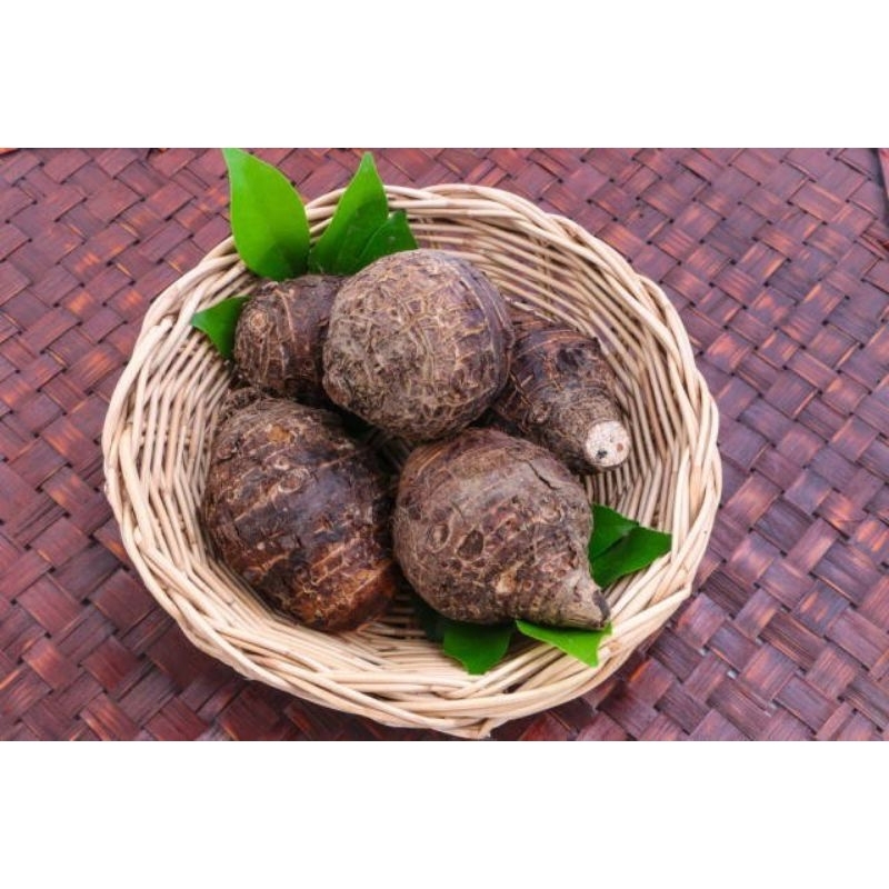 

1 kg ubi talas/keladi/ubi talas segar/ubi keladi segar