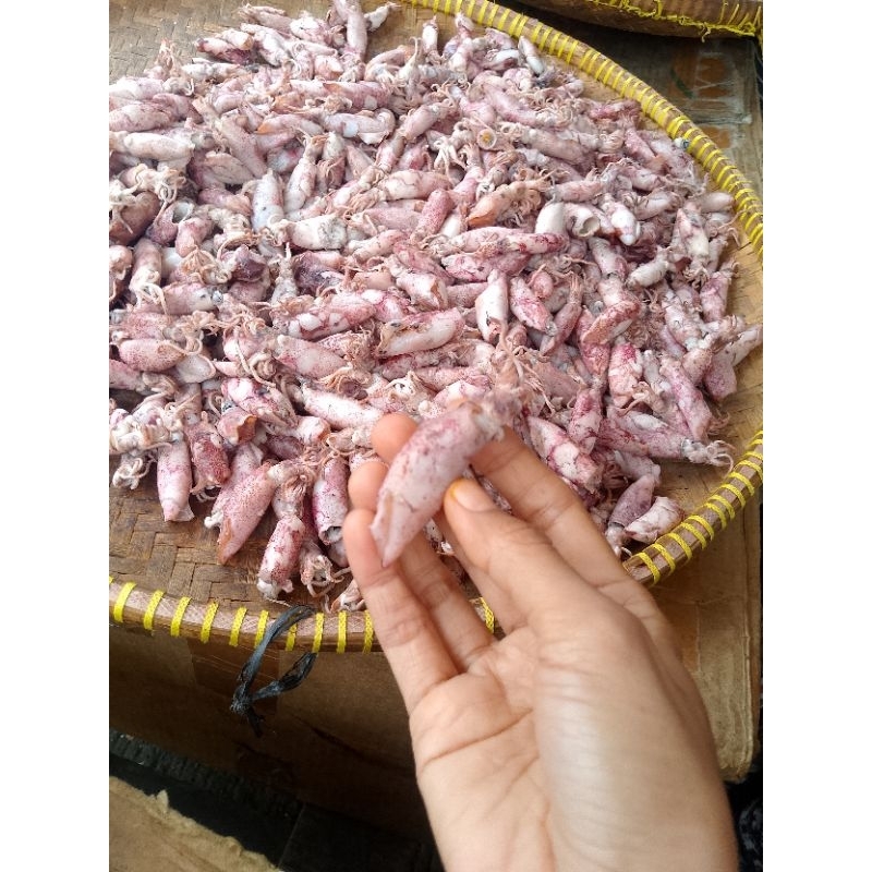 

Cumi Asin ukuran Besar(250gr,500gr,1000gr)