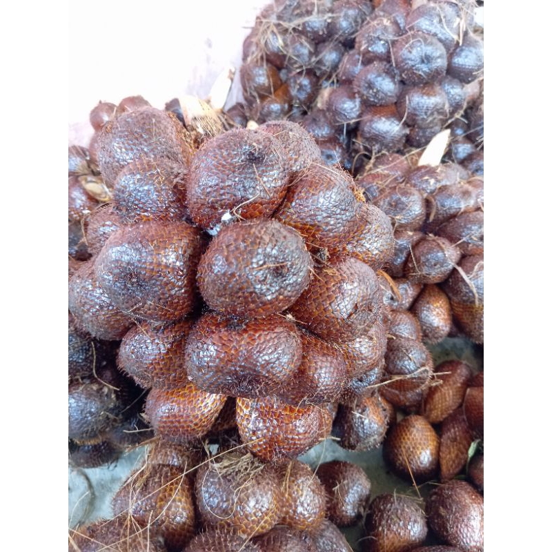 

Salak Fresh 1kg/Buah salak/Salak pondoh/jateng/banjarnegara