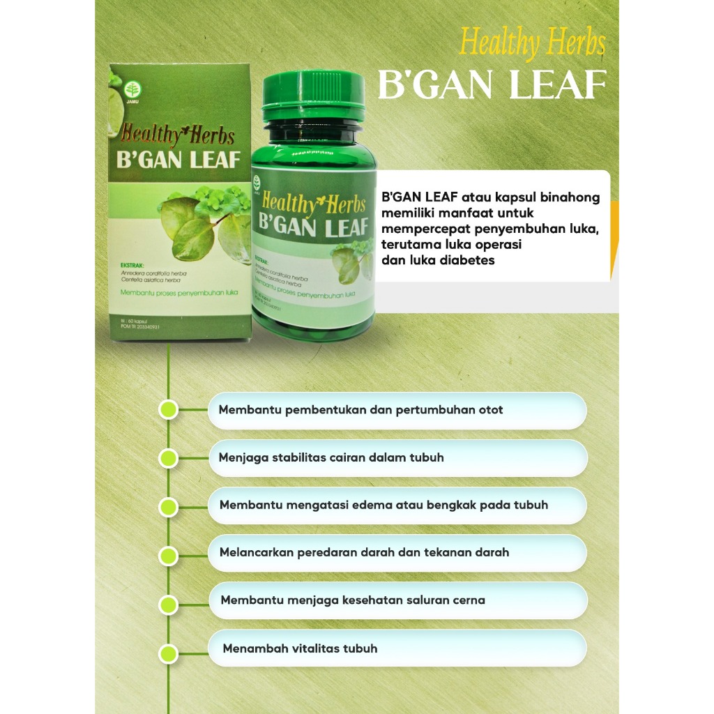 Healthy Herbs B'gan Leaf Kapsul Binahong