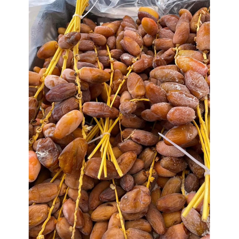 

RB Kurma Tunisia tangkai fress 1kg