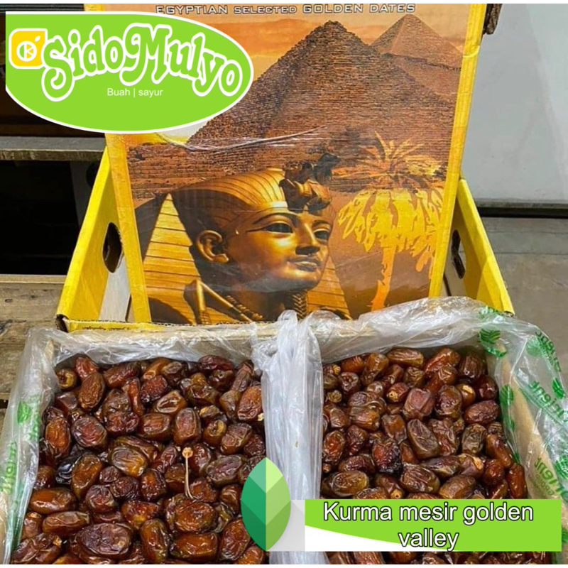 

Kurma Mesir Golden Valley 10 kg | ud sidomulyo fresh