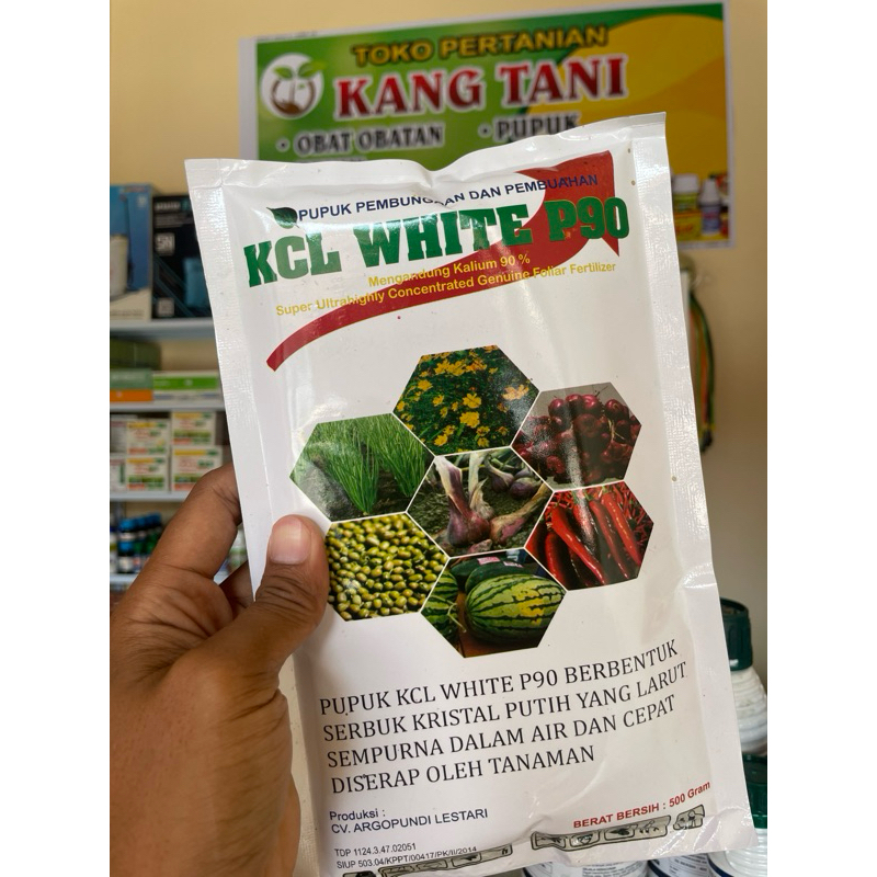 pupuk KCL WHITE P90 500gr