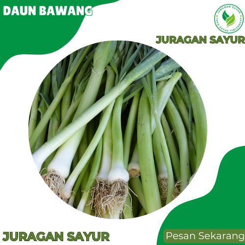 

Daun Bawang Scallions 100 gr - Daun Bawang Sayuran Fresh PREMIUM dan Fresh - Juragan Sayur