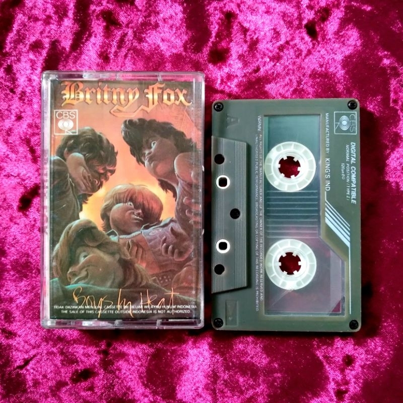 Kaset Pita Britny Fox - Boys In Heat