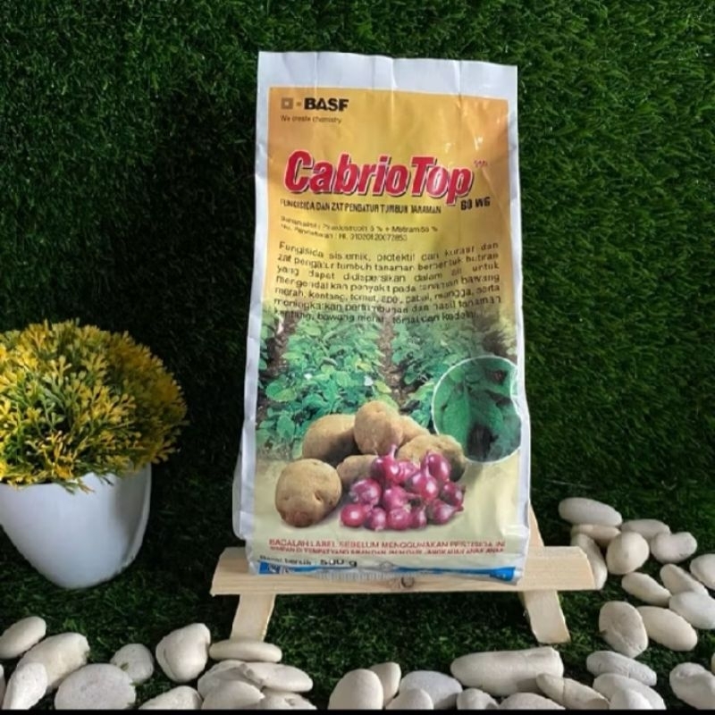 CabrioTop 500gram