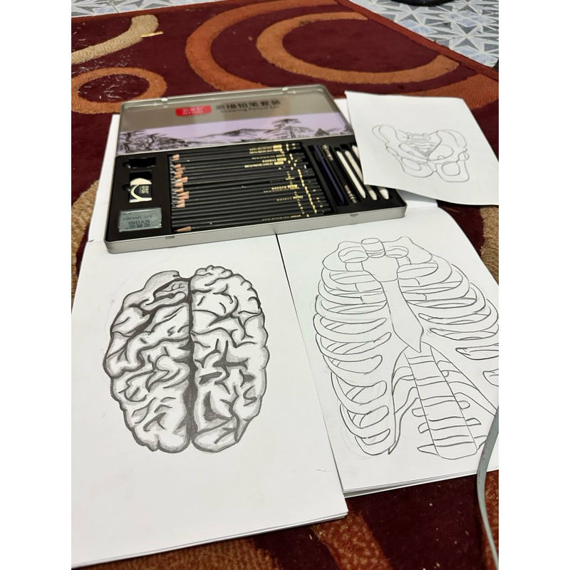 joki gambar anatomi tugas kuliah fakultas kedokteran