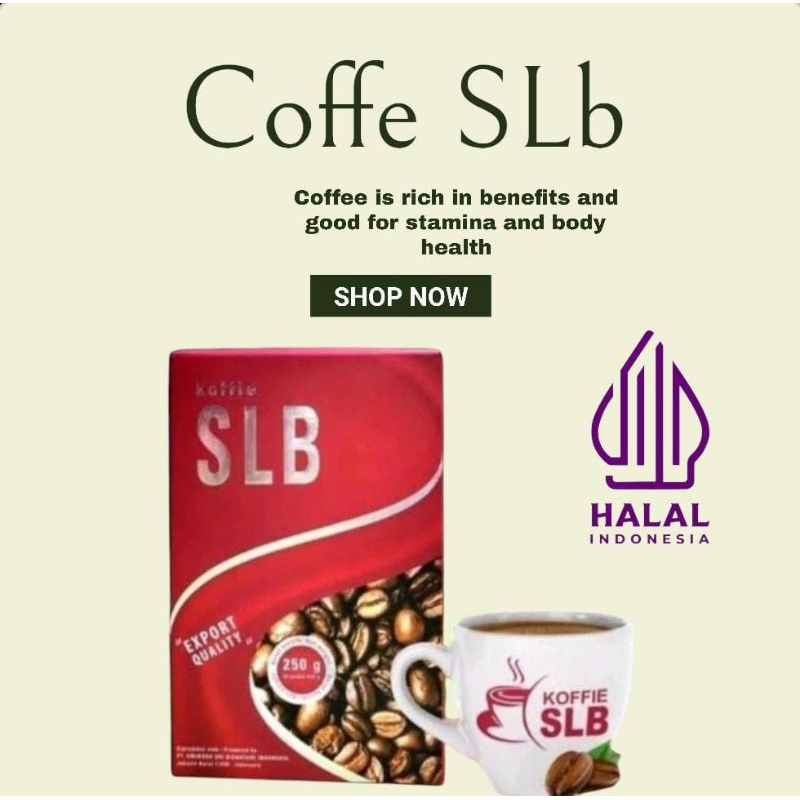 

SLB 1 BOX.