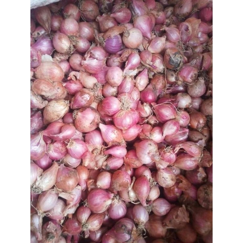 

bawang merah tanggung campur 1kg lokal nganjuk