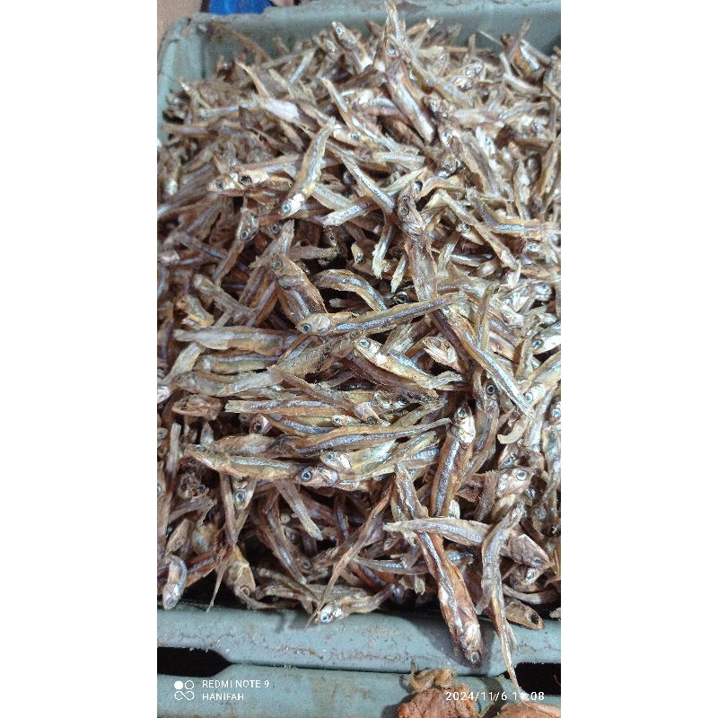 

ikan Teri Tawar, rese teri adem