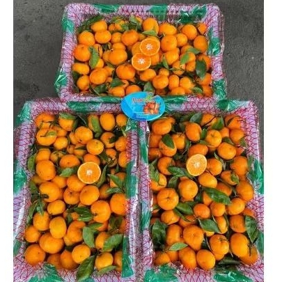 

Buah Jeruk Santang Daun Unifresh Jual Per 1 BOK Krat