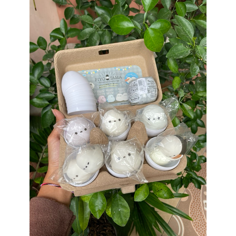 Ibloom piyotama shimaenaga (keep)