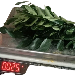 

Daun salam Koja/temoeroi/daun kari 25 gr