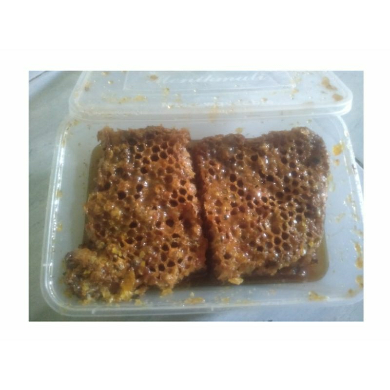 

Sarang Madu Asli Sarang Madu Tanpa Campuran