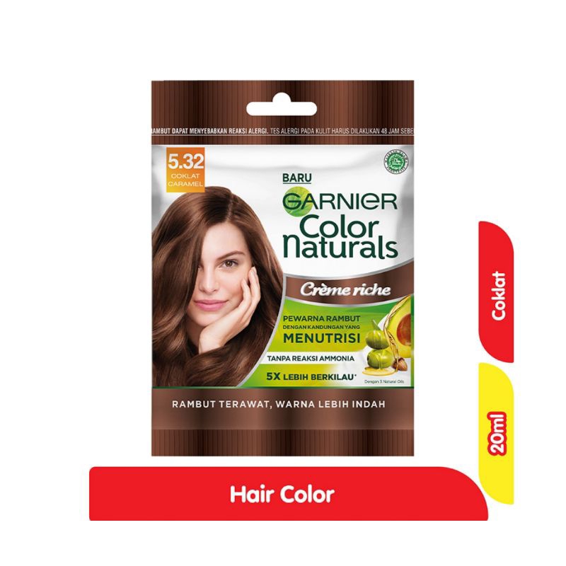 Garnier Pewarna Rambut Coklat 20ml