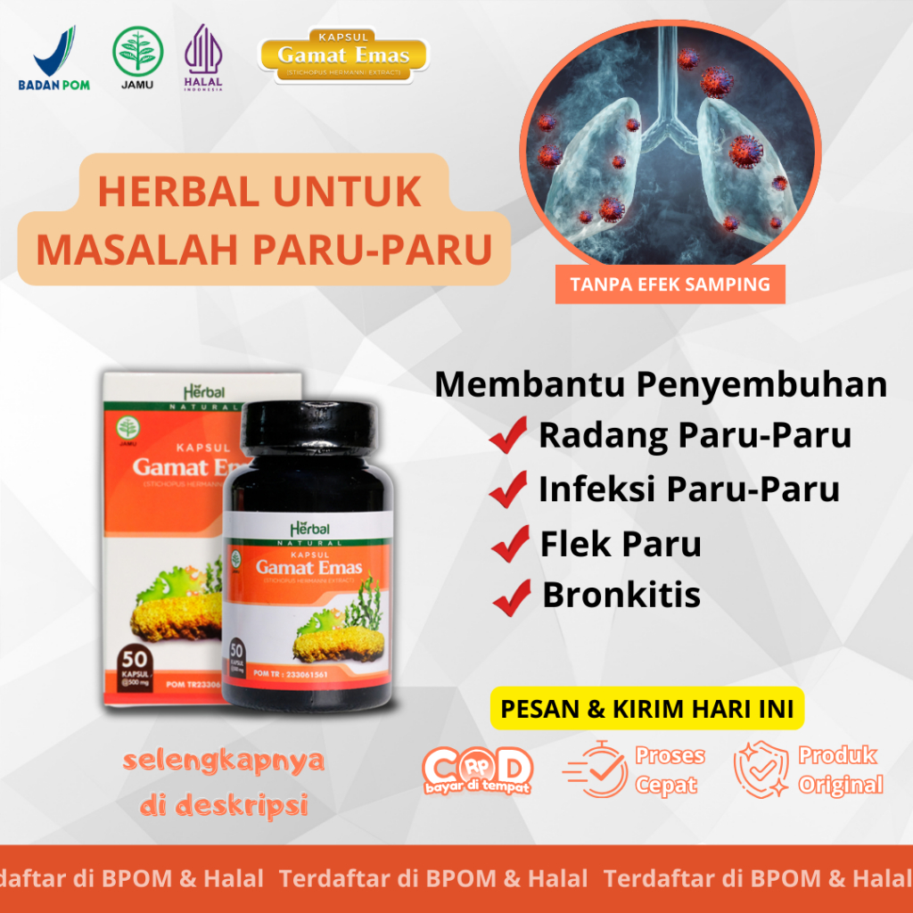 Gamat Emas Obat Pembersih Flek Paru, Paru Paru Kotor, Batuk Berdarah, Paru Paru Basah, Tb Paru