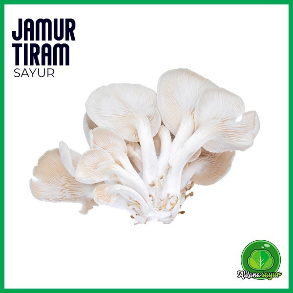 

Jamur Tiram aldana sayur garut 250gr