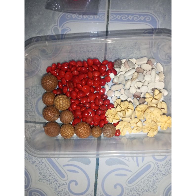 

PAKET MIX BIJI BIJIAN KOLASE/BAHAN KOLASE/BIJI BIJIAN KOLASE/KERAJINAN TANGAN