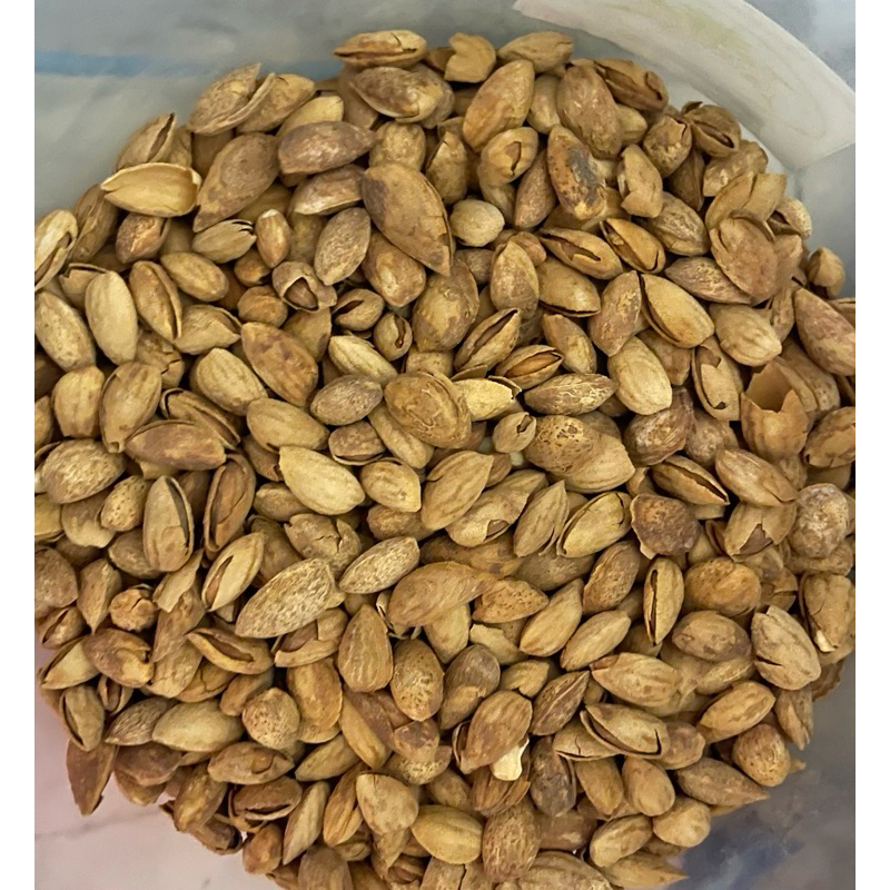 

ALMOND CANGKANG / KACANG ALMOND / oleh oleh umroh / kacang oleh oleh umroh / oleh oleh hajji / oleh oleh mekkah