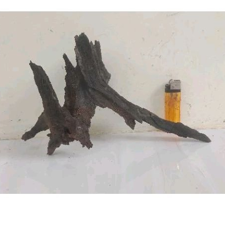 Kayu aquascape/dekorasi aquarium/paludarium