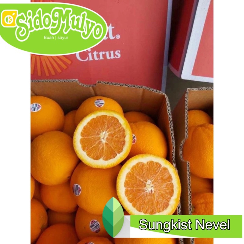 

Buah Jeruk Sunkish Nevel fresh (Manis) 1 kg | ud sidomulyo fresh