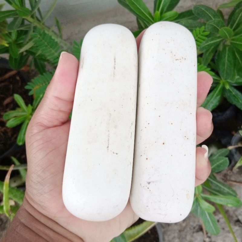 Batu Akik Natural Tidar Putih Jumbo Big Size