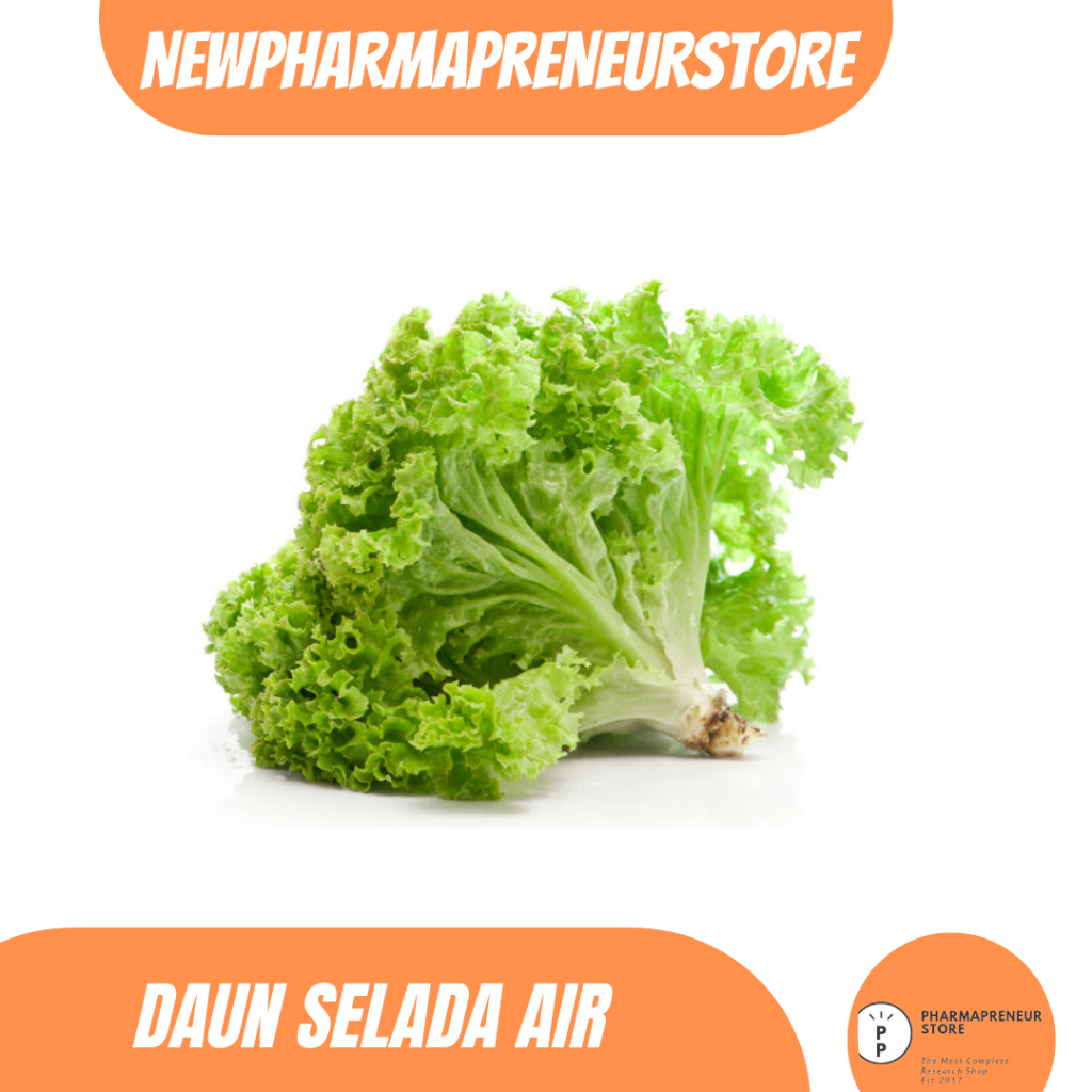

EKSTRAK SELADA AIR BEST QUALITY
