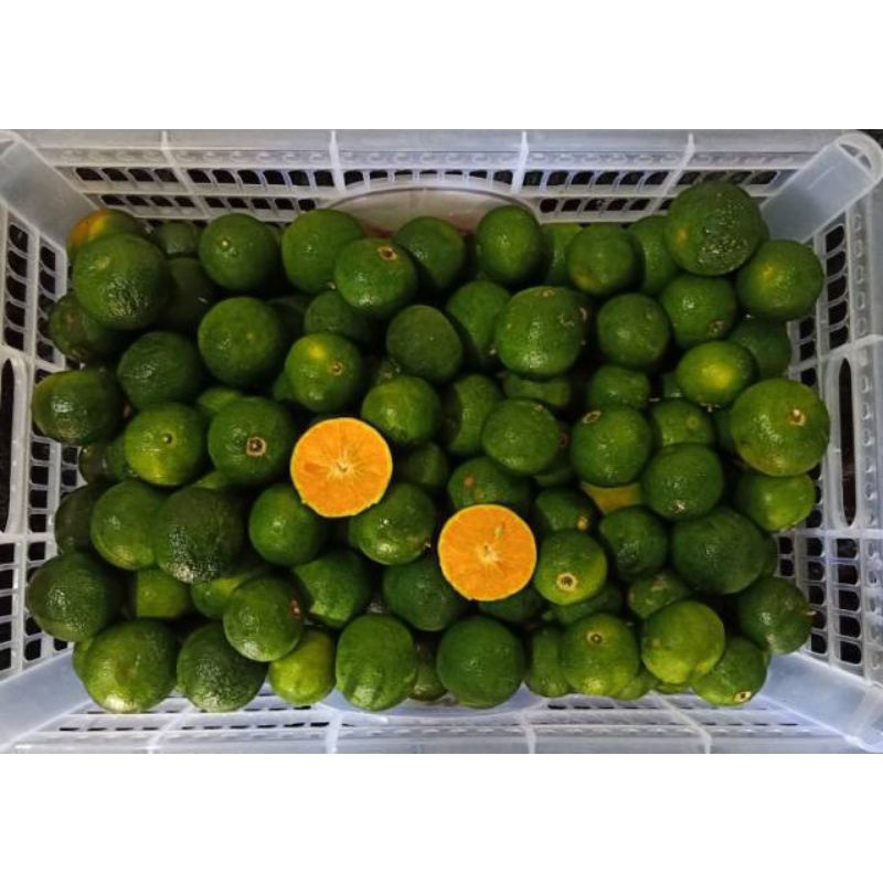 Jeruk Santang Madu hijau non biji manis segaar 1 keranjang/6kg