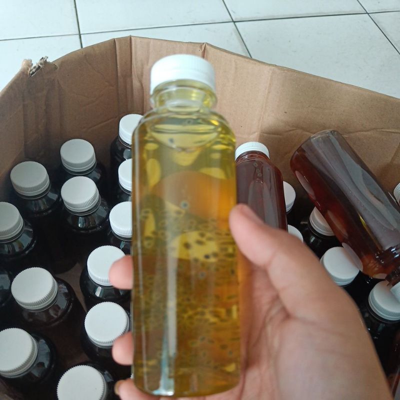 

crysanthemum tea drink