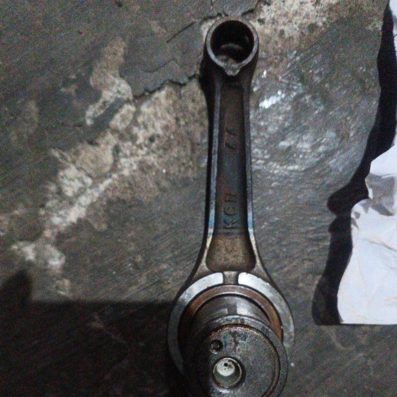 Stang seher Tiger original KCN